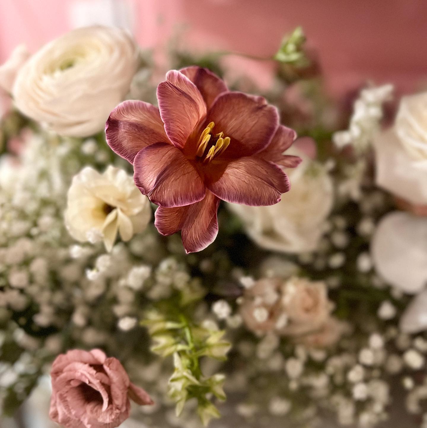 Black Begonia floral design work